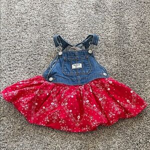 OshKosh B'gosh Denim and Red Floral Skirtall